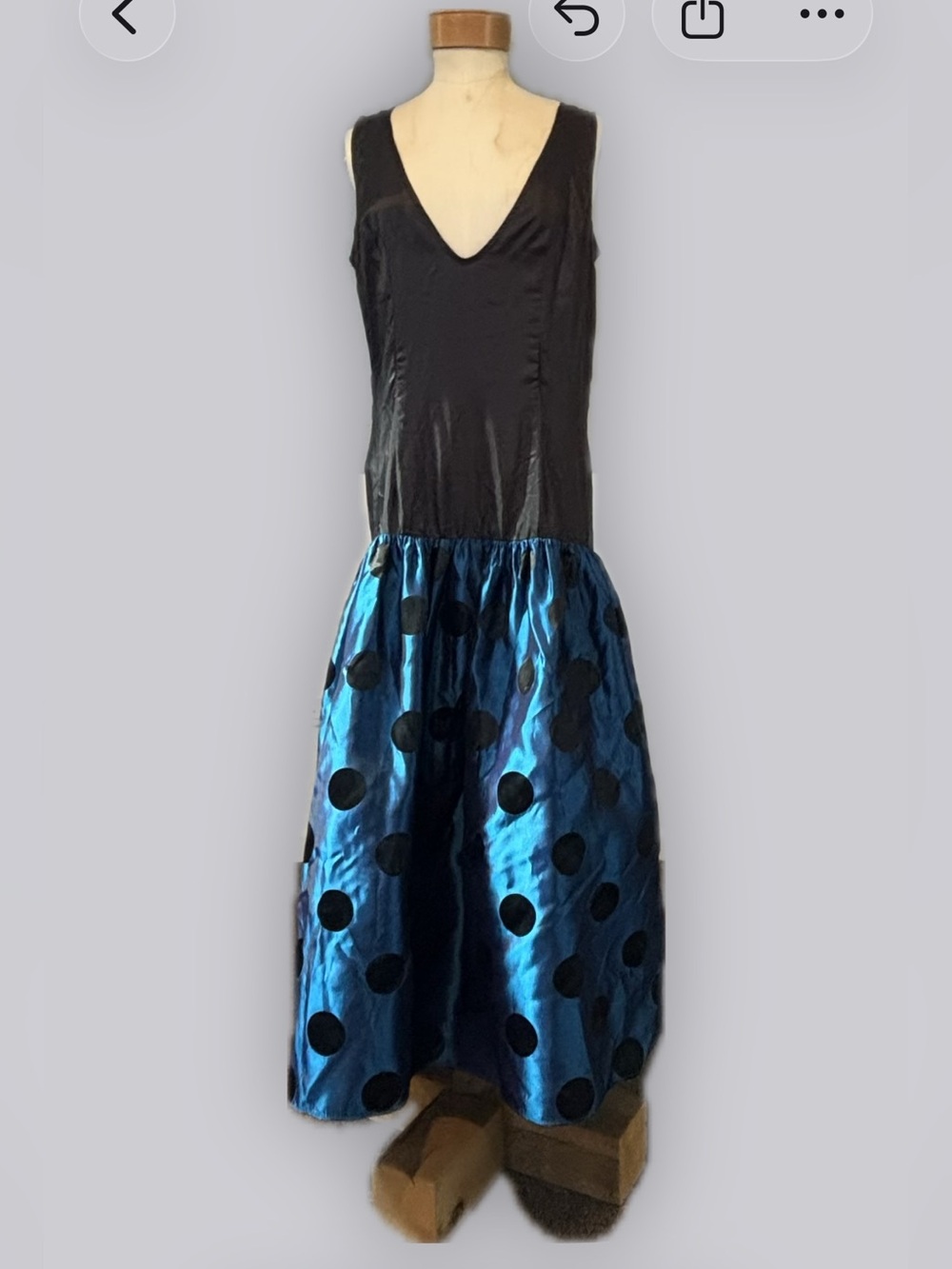 Raul Blanco Vintage Drop Waist Polka Dot Dress in Blue